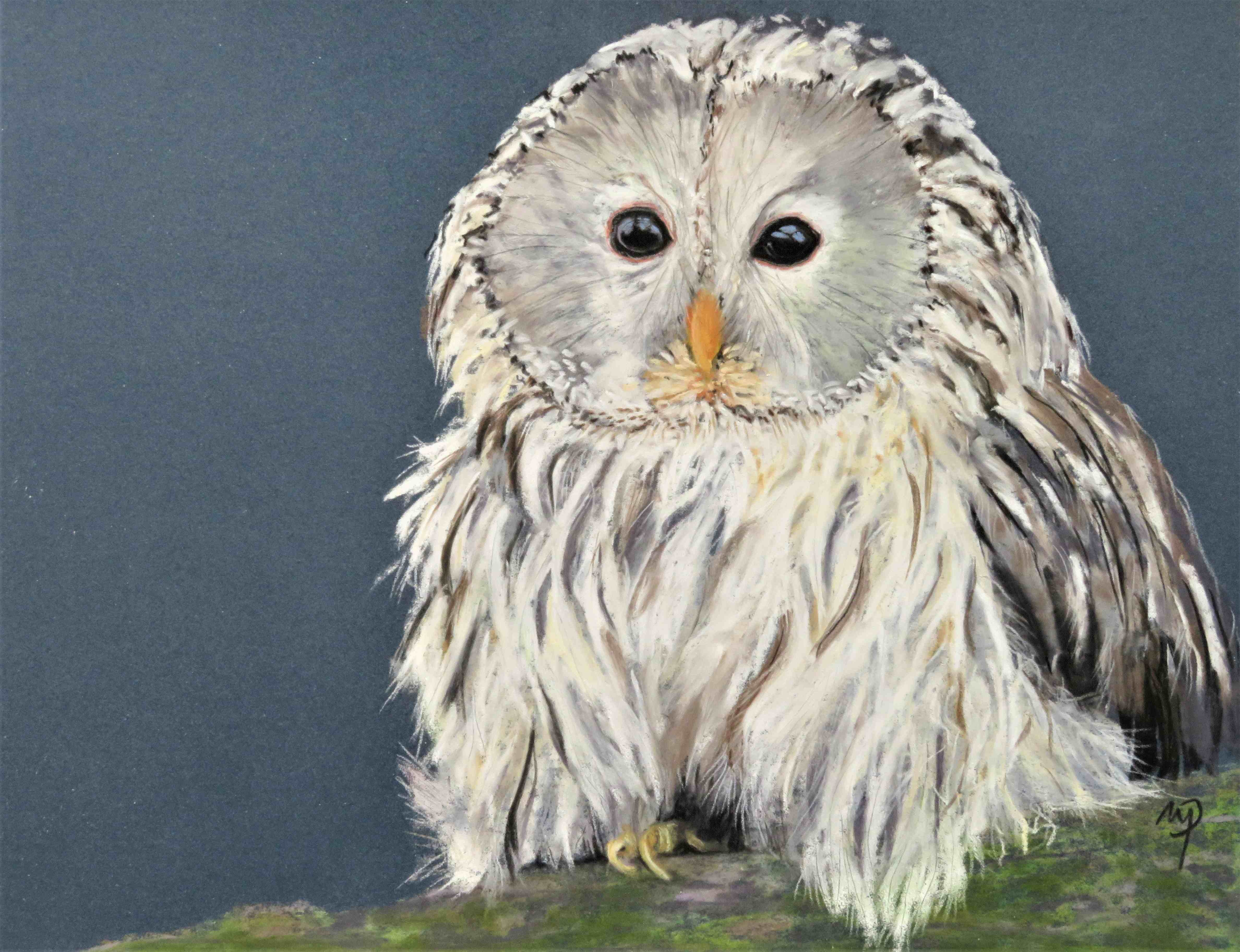 2025-Ausstellung-Pfeifer