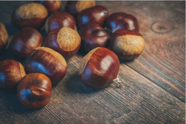 24-11-29 Olle Talente pixabay