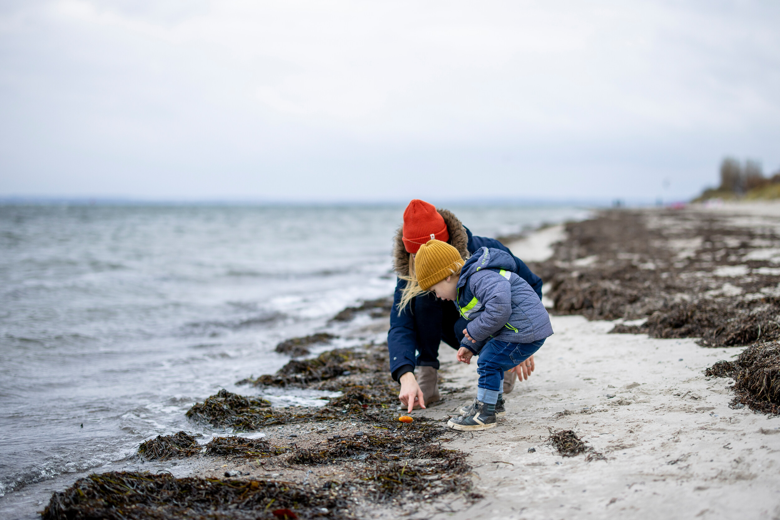 Bernsteinführung _www.luebecker-bucht-ostsee (1)