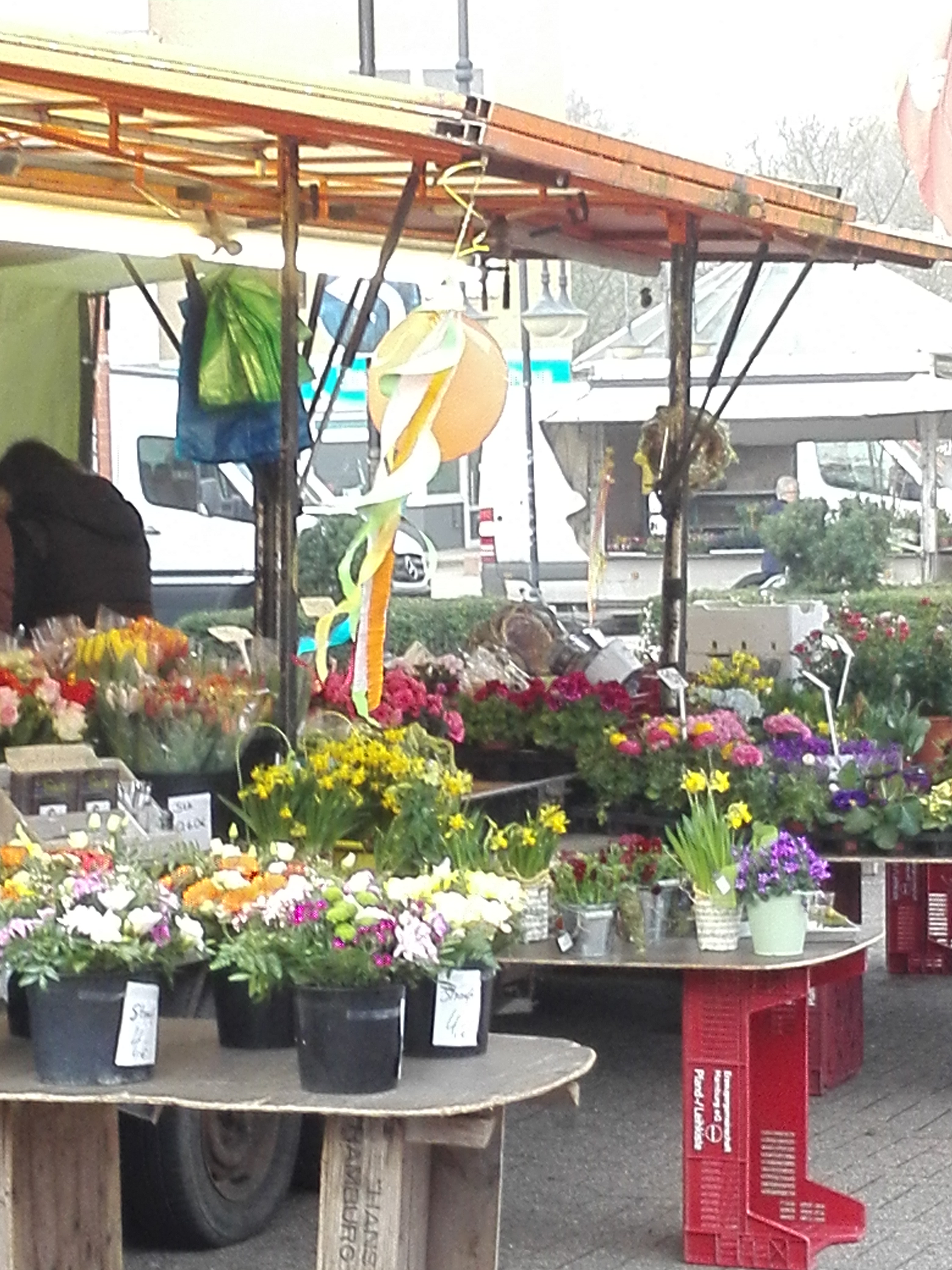 Frühling auf dem Lauenburger Wochenmarkt