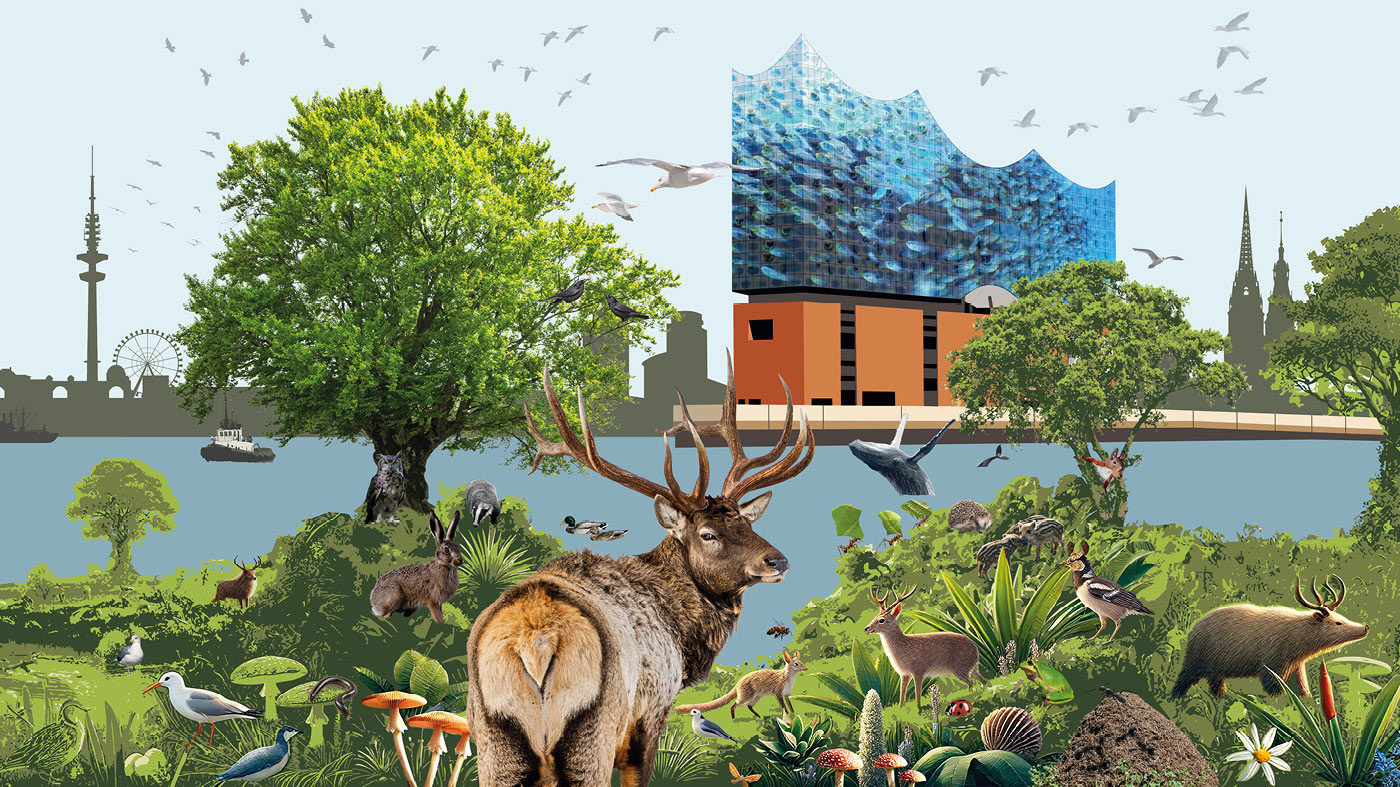 Biodiversität - unser Schlüssel zu einer blühenden Zukunft