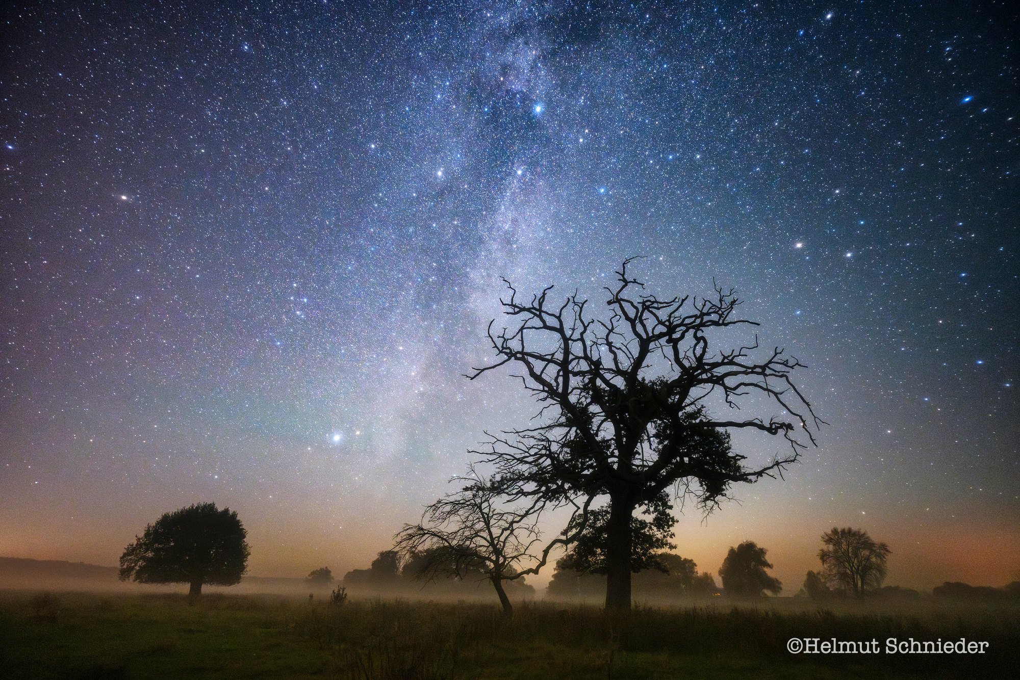 Sternnennächte über dem Wendland