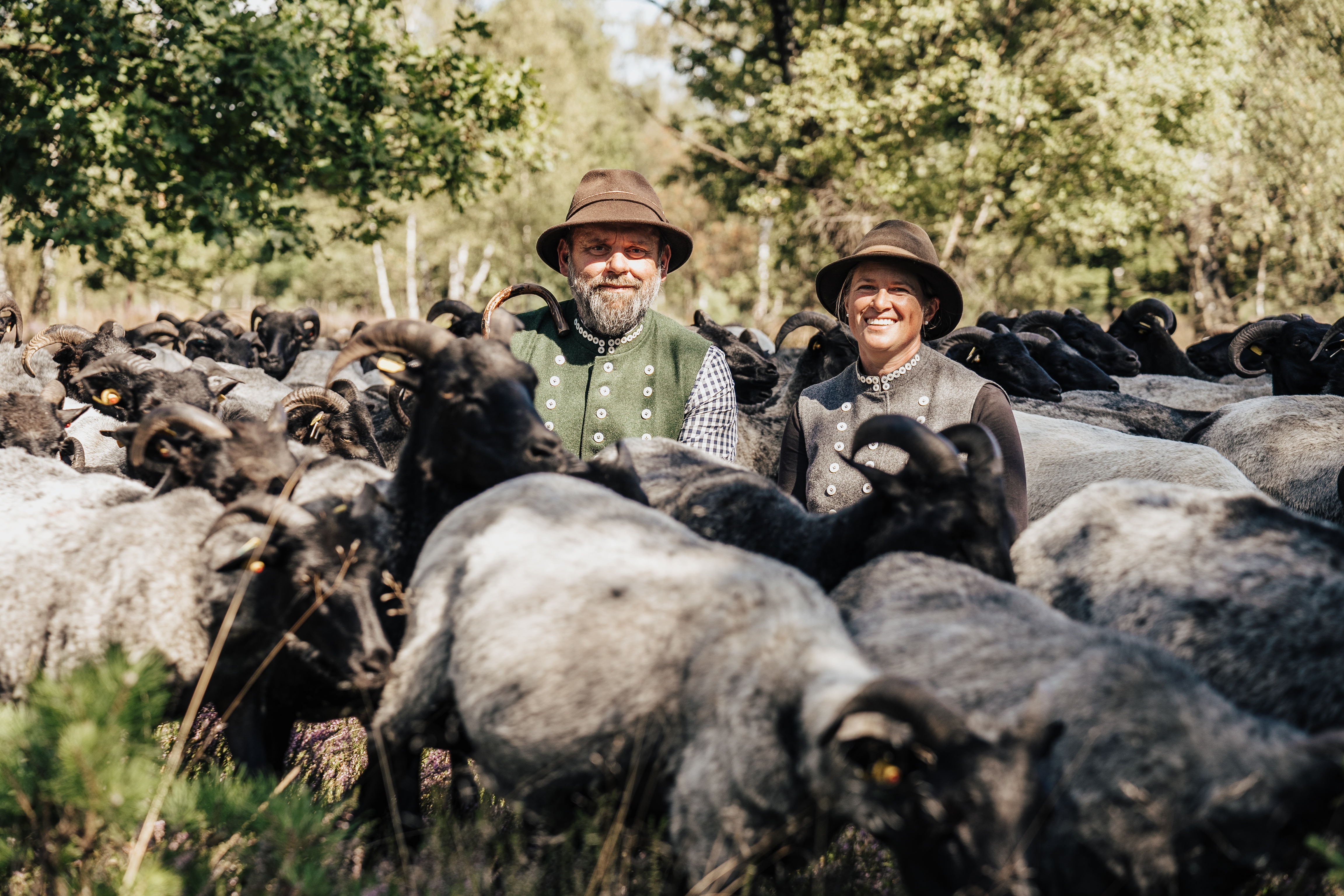 Schäfer Schneverdingen-11