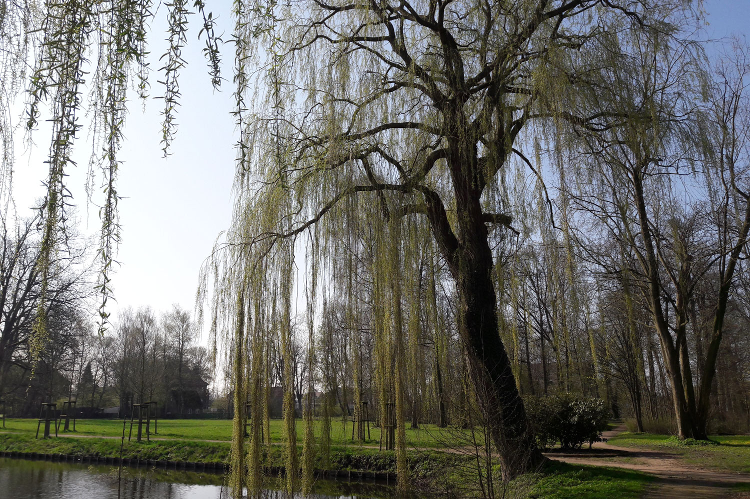 Stadtpark-im-Frühling